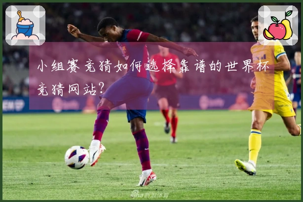 小组赛竞猜如何选择靠谱的世界杯竞猜网站？