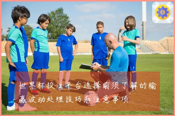 世界杯投注平台选择前须了解的输赢波动处理技巧和注意事项