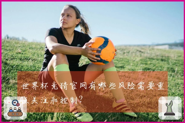 世界杯竞猜官网有哪些风险需要重点关注和控制？