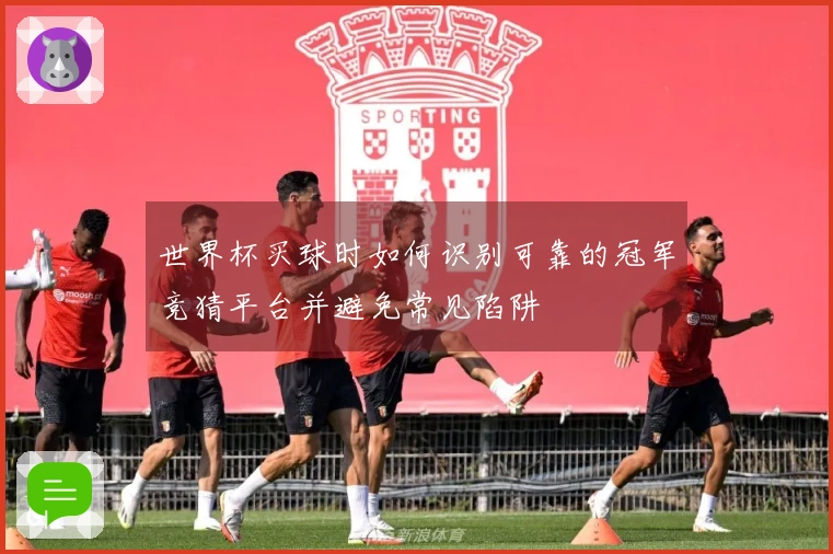世界杯买球时如何识别可靠的冠军竞猜平台并避免常见陷阱