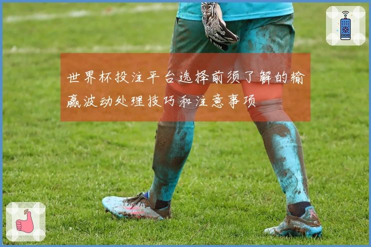 世界杯投注平台选择前须了解的输赢波动处理技巧和注意事项