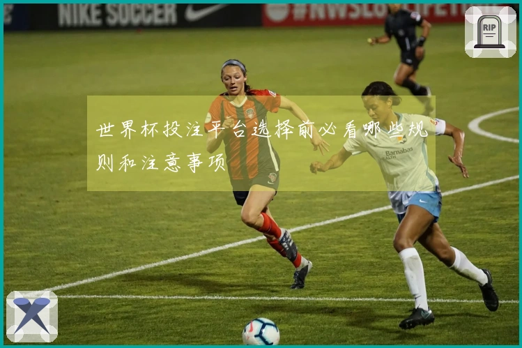 世界杯投注平台选择前必看哪些规则和注意事项