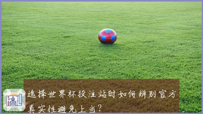 选择世界杯投注站时如何辨别官方真实性避免上当？