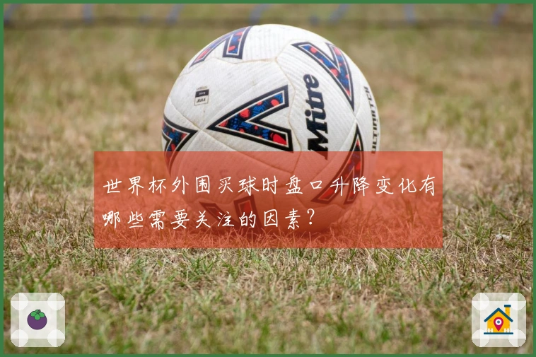 世界杯外围买球时盘口升降变化有哪些需要关注的因素？