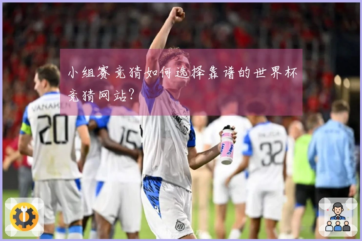 小组赛竞猜如何选择靠谱的世界杯竞猜网站？